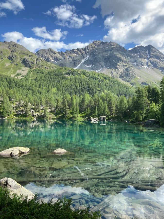 B&B Berninapass Поскьяво Экстерьер фото